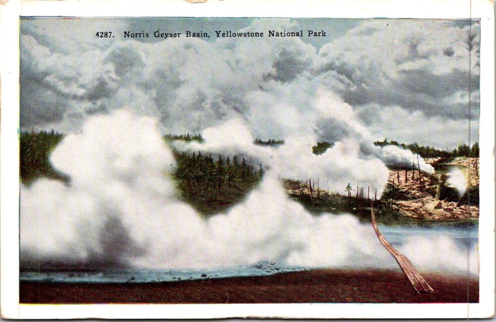 Norris Geyser Basin Yellowstone National Park Vintage Postcard SP17-29